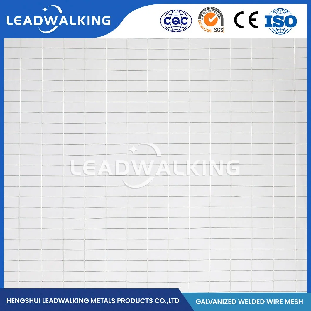 Leadwalking 2X2 PVC Coated Welded Wire Mesh Suppliers ODM Custom Gi Coated Welded Wire Mesh China 0.5mm Wire Thickness Zinc-Coated Welded Wire Mesh for Rack