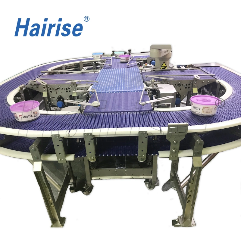 Hairise Plastic Chain Conveyor Belt for Industry/Belt Conveyor Wtih FDA& Gsg Certificate