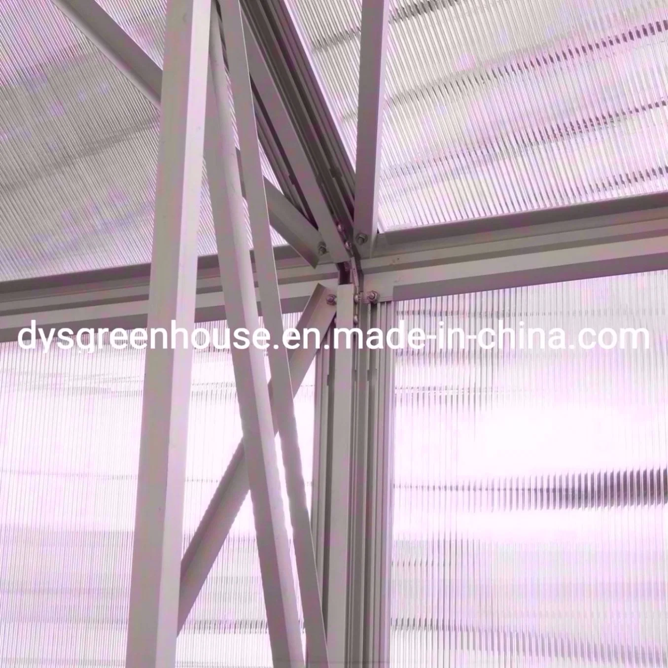 Solar Greenhouse Easy Instal DIY 4mm Pet Plastic Panel Aluminum Frame Prefab Greenhouse (RDGA0812-6mm)