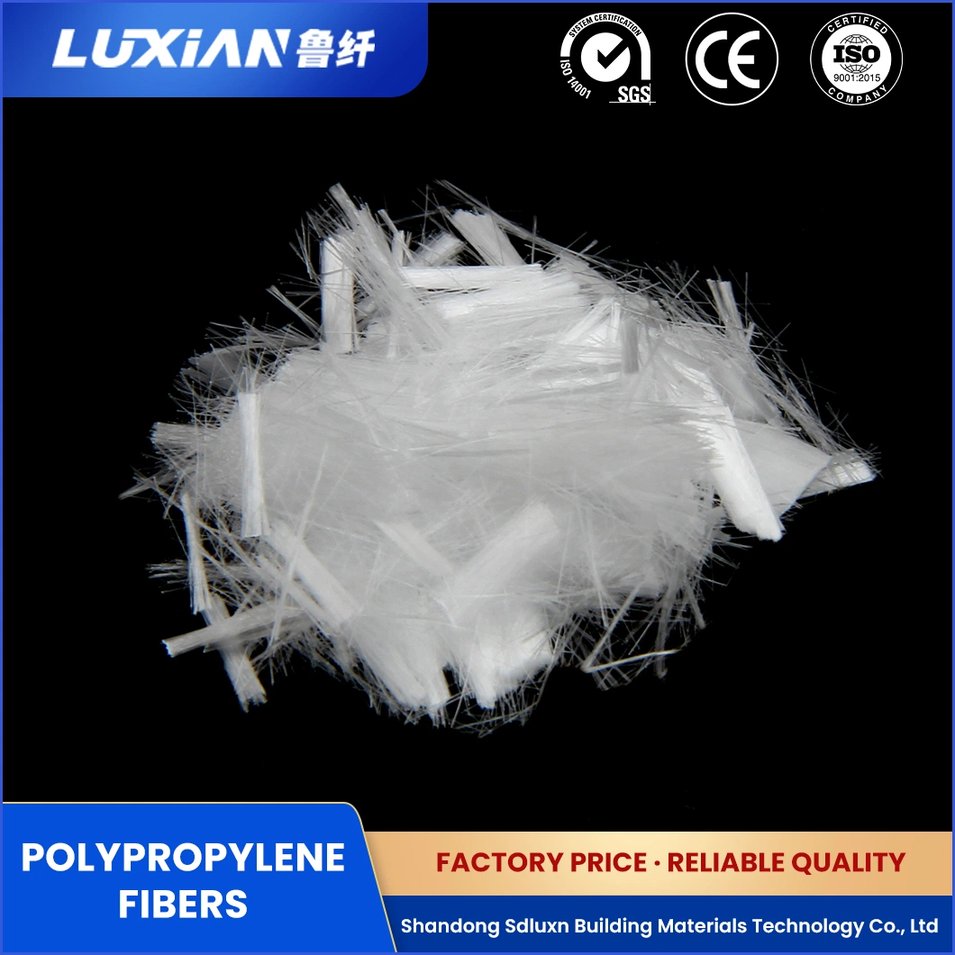 L'échantillon disponible Sdluxn béton avec fibre polypropylène PP polypropylène Lxbg de modification de la Chine usine Flber PP monofilament de conservation