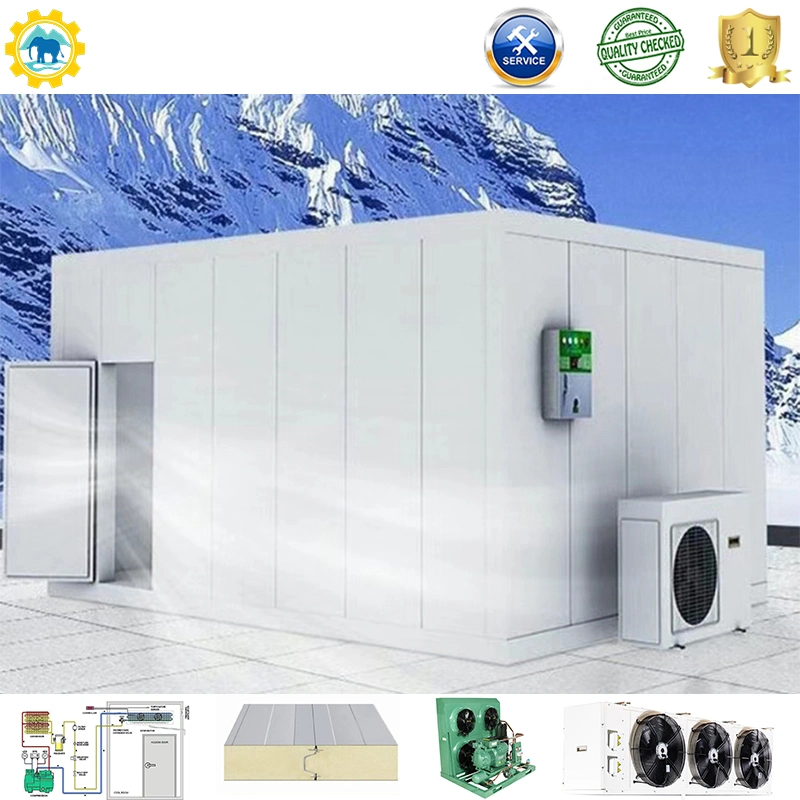 Cold Room Storage Blaster Walk in Freezer Room Freezer Cooler Room Blaster Chiller Cooling System