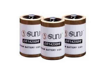 Er14250 3.6V Primary Li-Socl2 1/2 AA Size Bobbin Type Cells Battery Ls14250 with Shell for Smart Meter