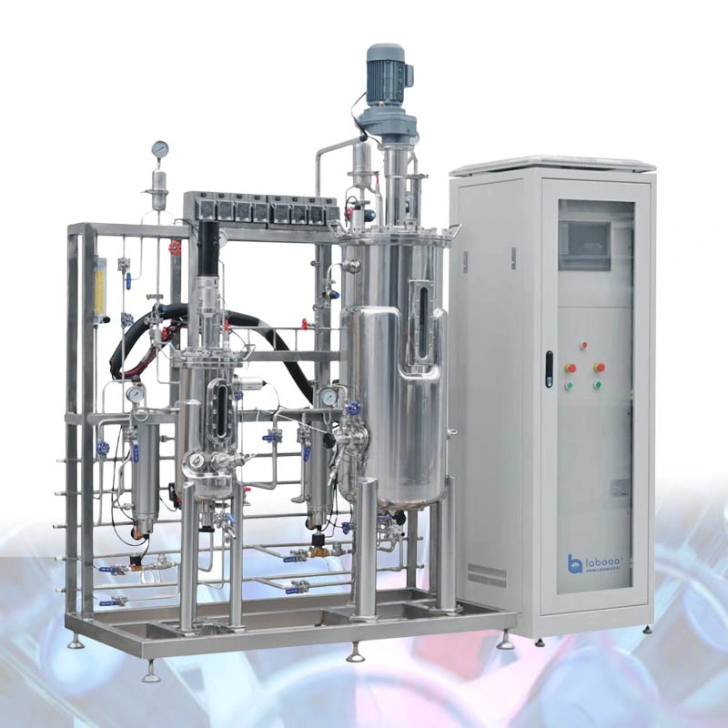 Laboao Tertiary Cell Culture Bioreactor Machine Stainless Steel Fermenter System