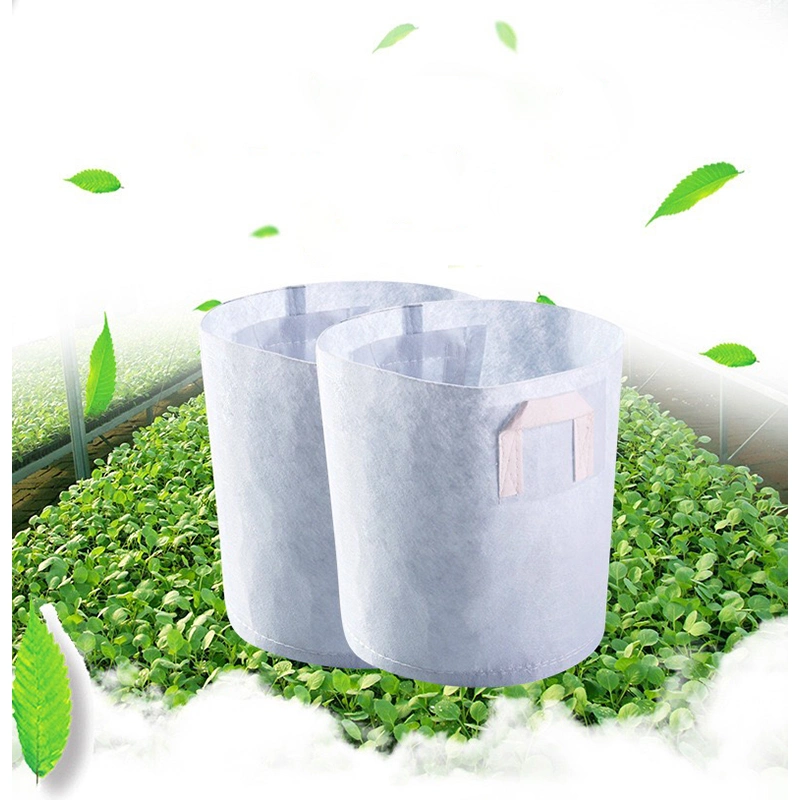 Non-Woven Fabric Plant Grow Bag, Plant Container, Grow Pots