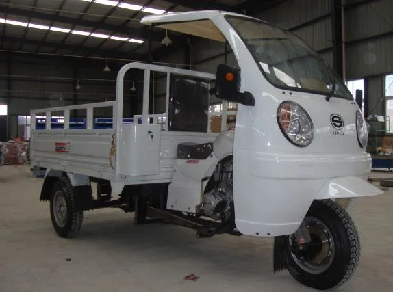 China fábrica adultos cargo Motorcar a Brasil Trike Auto Rickshaw Tricycles eléctricos