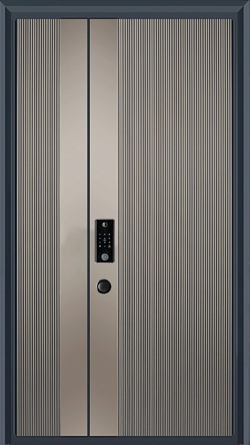 New Design Security Steel Door, Israel Security Door