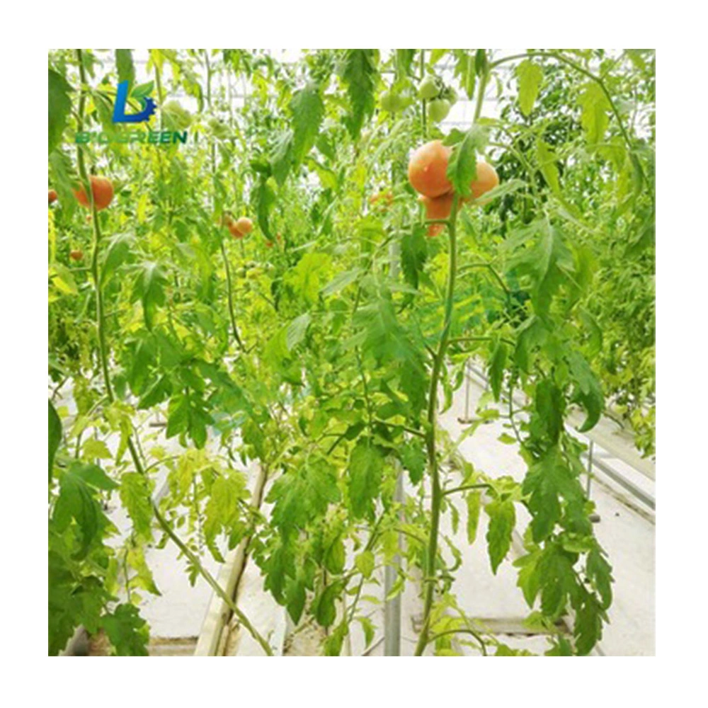 Smart Greenhouse Intelligent Agricultural Remote Monitoring System Agricultural Greenhouse with Intelli