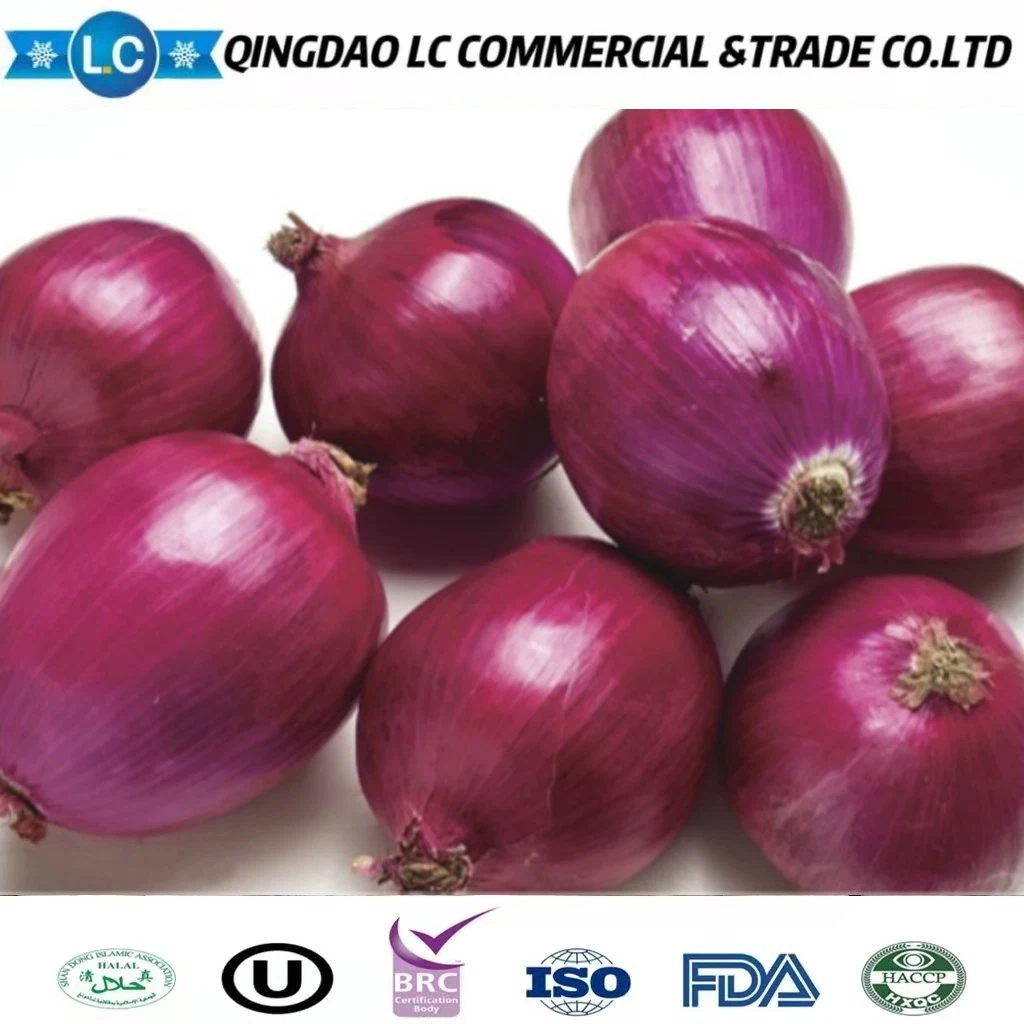 Hot Selling Delicious Quality IQF Frozen Sliced Onion