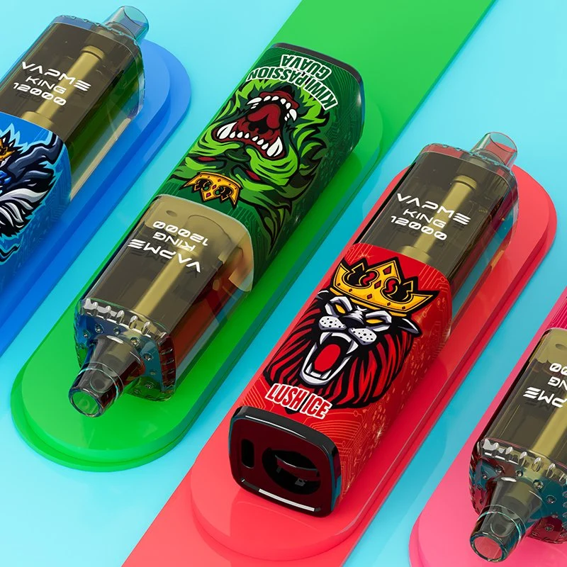 قلم Vape Vape الذي يمكن التخلص منه، سرير كينغ Vapme 12000/12K أطواق بطارية 650mAh من النوع C قميص ملبّس بشبكة