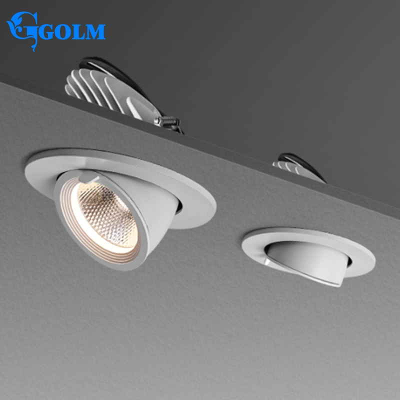 Adjustable Trunk Shape No Flicker Aluminum Embeded Moveable COB LED Downlight