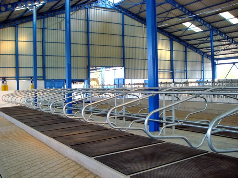 Good Quality Livestock Equipment Cattle\Horse Free Stall for Hot Sale