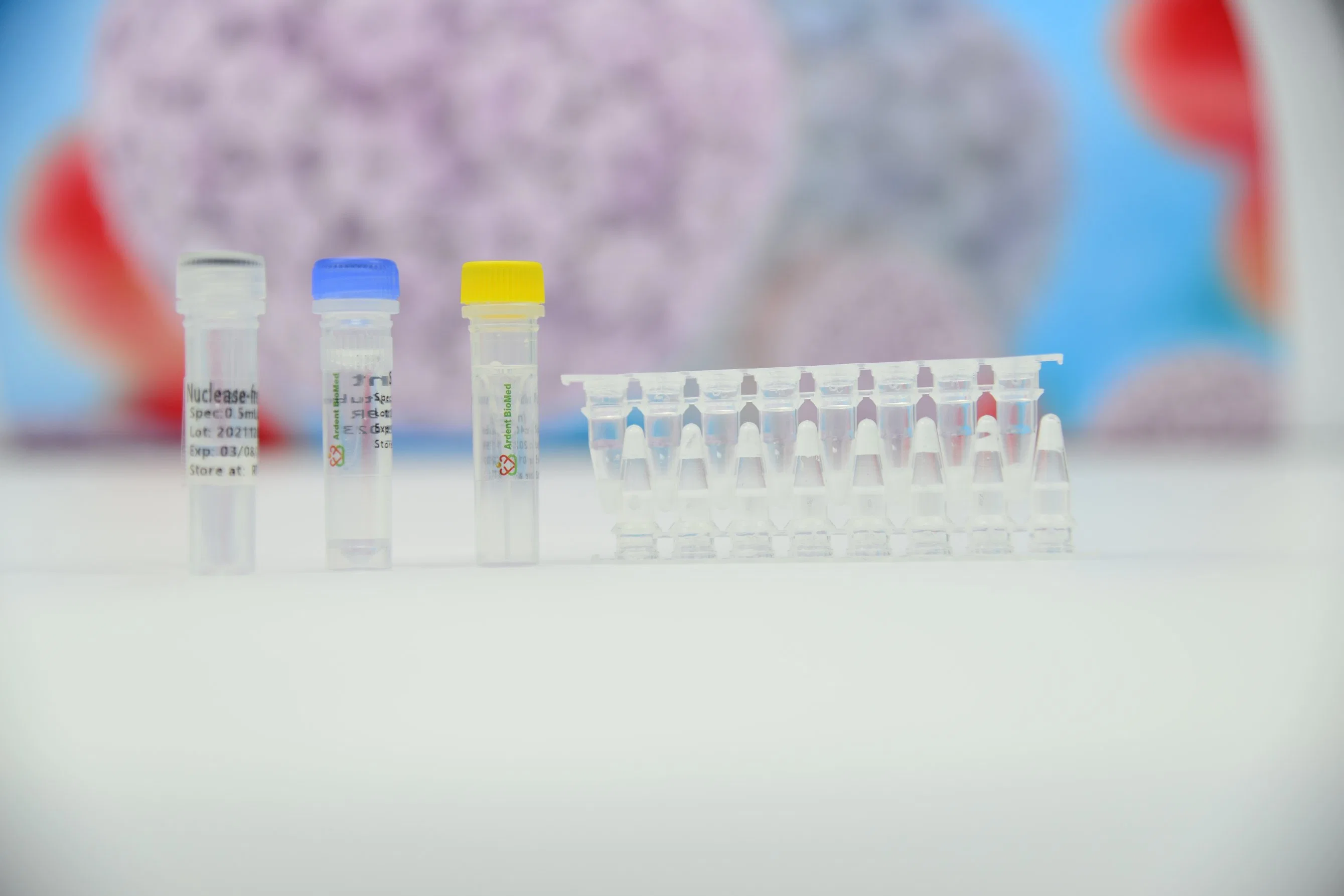 Human Papillomavirus Nucleic Acid Rapid Rt PCR Antigen Detection Kit with CE