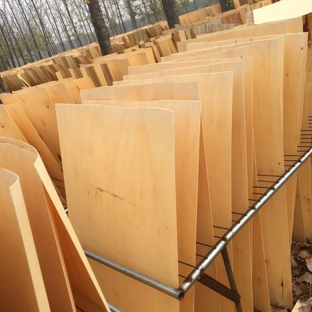 Nature Poplar Wood Barked Veneer for Plywood