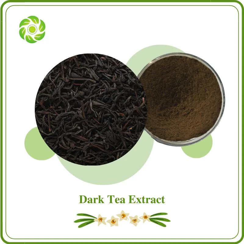 Anti-Oxidiant Natural Herb Dark Tea Extract 10%-98% Polyphenols Lose Weight Prevention and Treatment of Influenza Stroke Skin Cancer