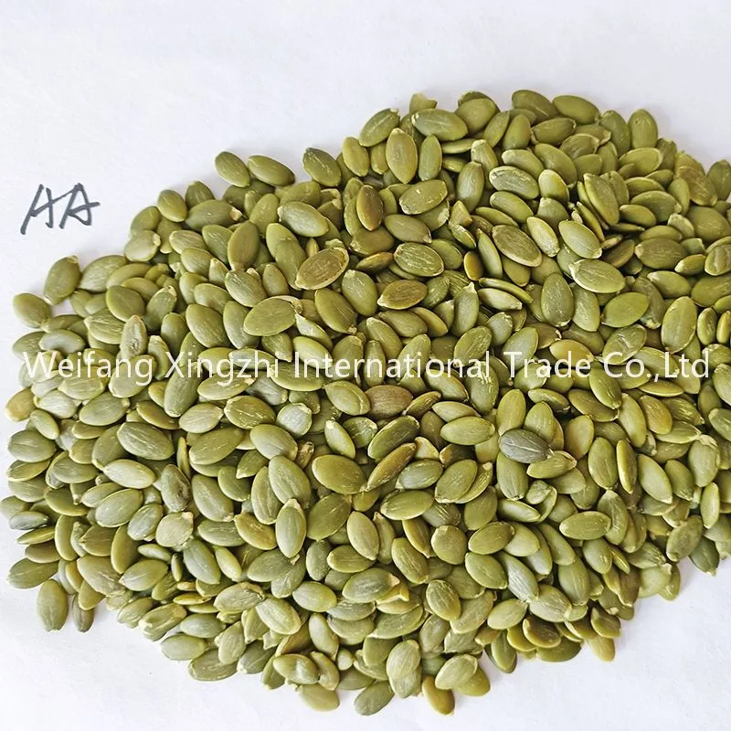 Wholesale/Supplier Good Quality Pumpkin Seeds Pumpkin Kernels AA and AAA Grade