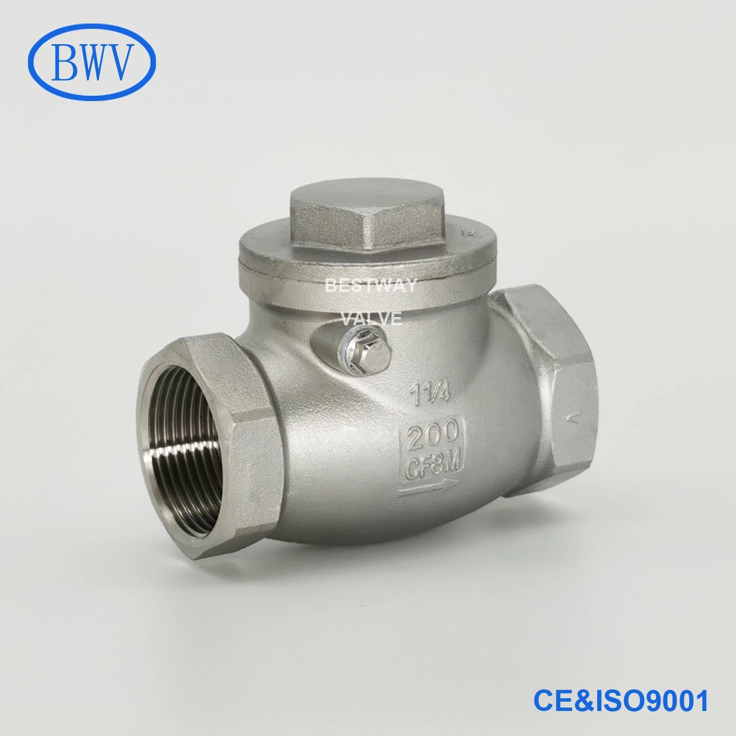 200psi/Pn16 CF8 CF8m NPT/BSPP/BSPT Threaded Stainless Steel Swing Check Valve