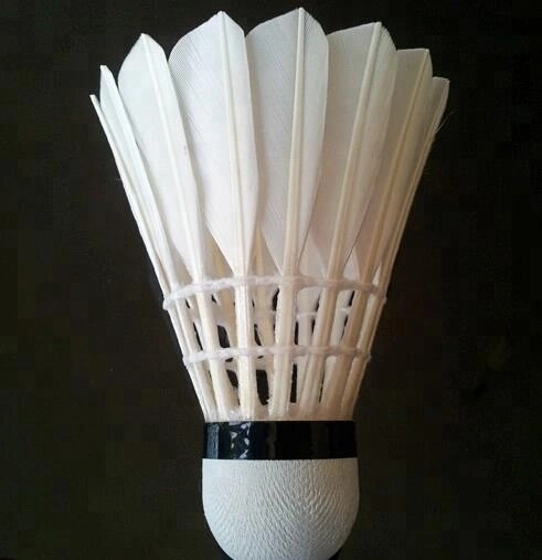 Deportes Badminton resistente Juego profesional de entrenamiento shuttlecock Badminton