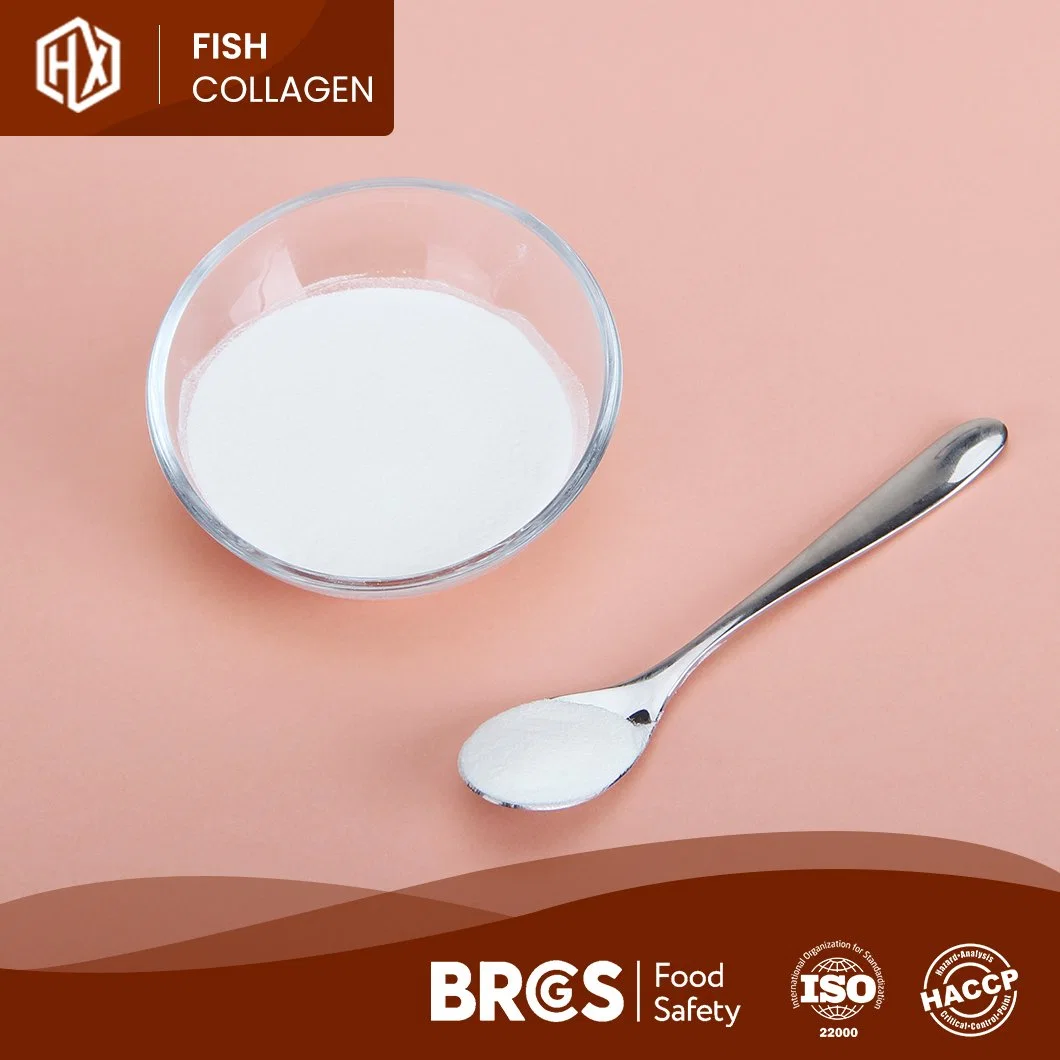 Haoxiang China Hersteller Versorgung Beste Fisch Collagen Peptide Pulver Aus Frische Tilapia Fisch Skala maßgeschneiderte Gesundheit und Schönheit Marine Skala Kollagenpulver