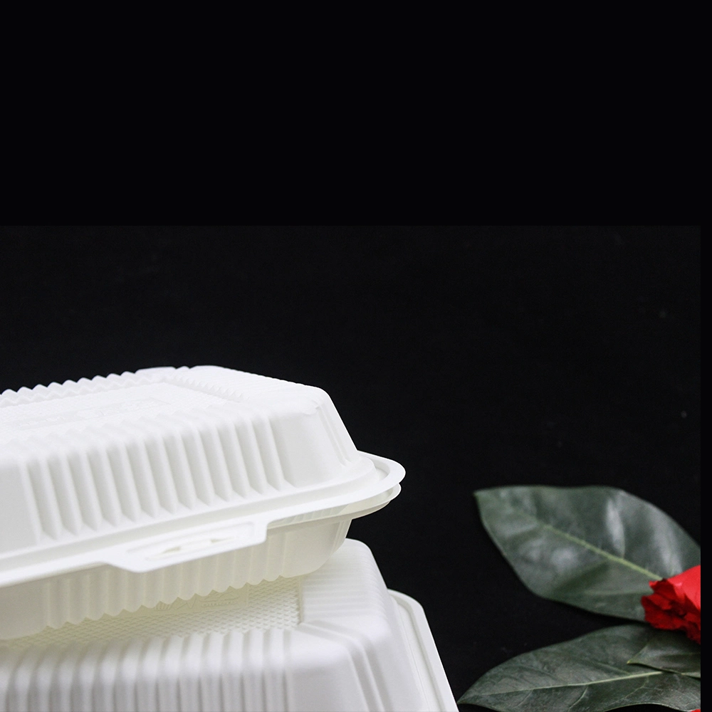 Food Container Food Grade Biodegradable Cornstarch Lunch Box for Takeaway