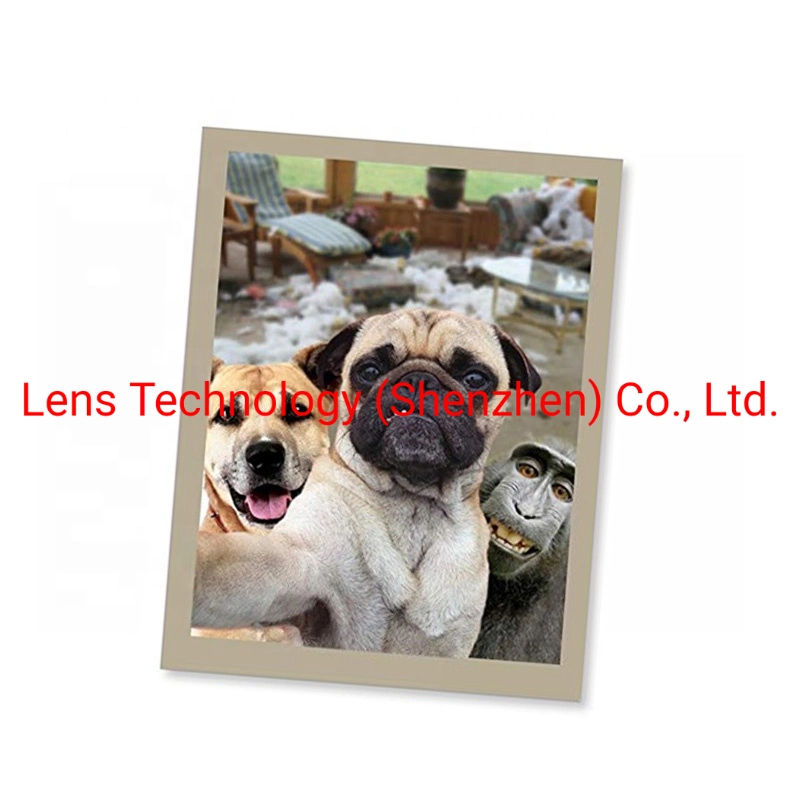 Hot Selling Wholesale Custom Printing Animal 3D Lenticular Greeting Cards