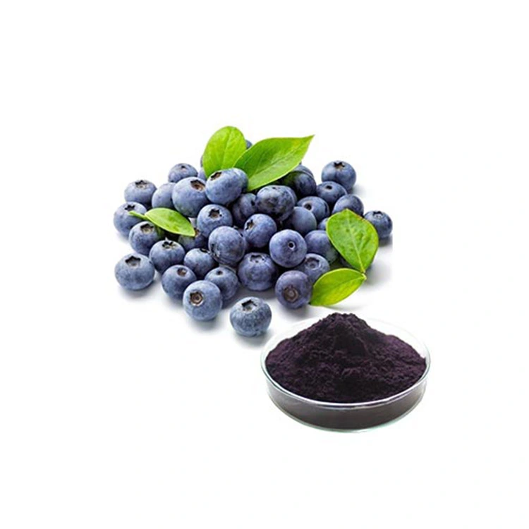 Antioxidant Plant Extract of Bilberry Extract 25% Anthocyanins Powder