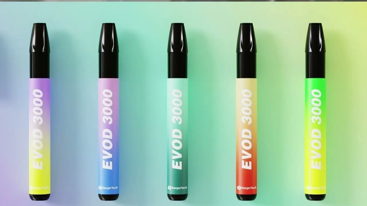 Factory Outlet Store Evod 3000 Puff Disposable Electronic Cigarette Pen Premium Product %2 Disposable Wholesale/Supplier Electronic Cigarettes