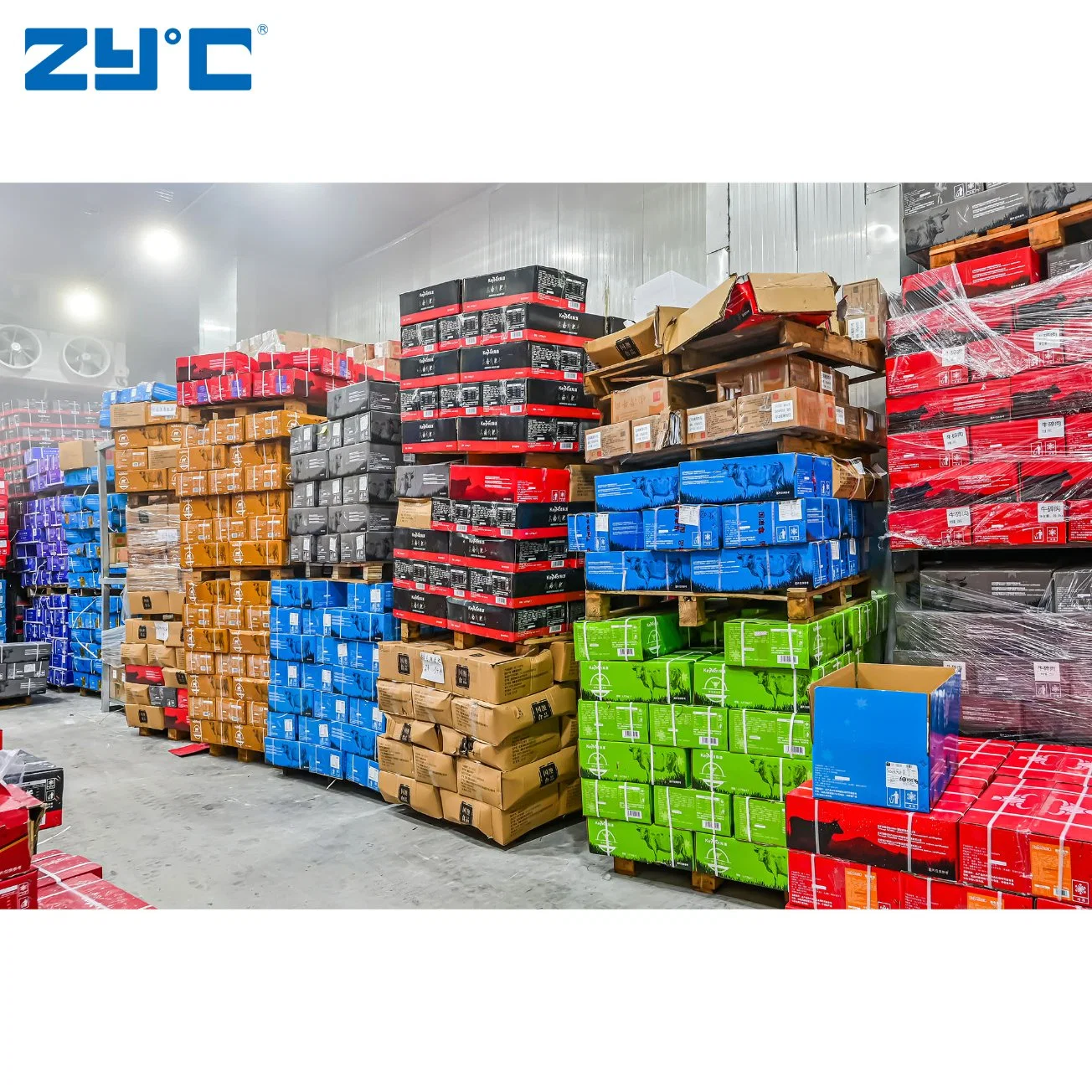 Zyc Prefabricated Dishes Cold Storage Room Walk-in Freezer Room