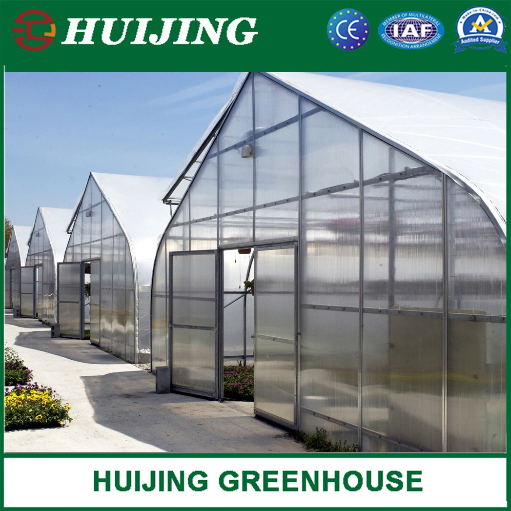 Hot Sale Polytunnel Single-Span Plastic/Film/PC Greenhouses for Agriculture