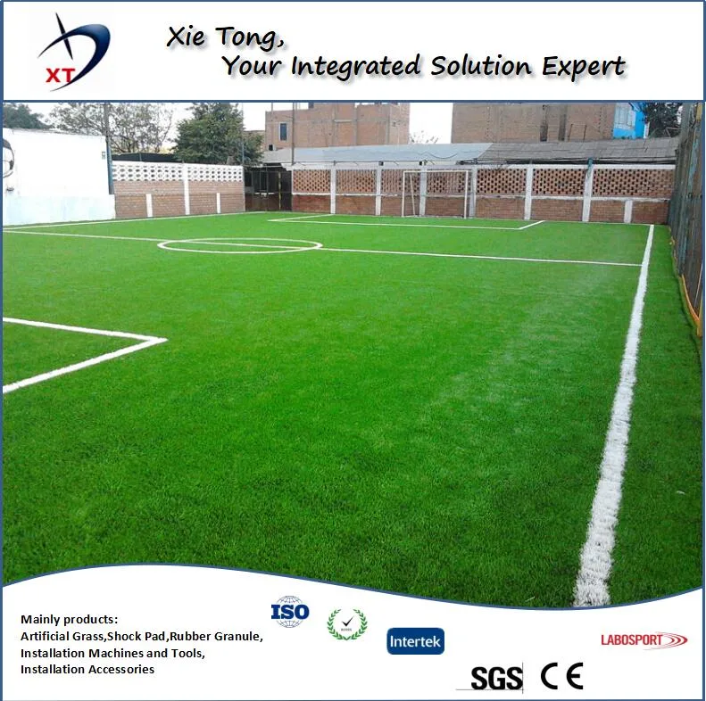 5X5 People Football Field Whole System Artificial Turf with Shock Pad and Infills