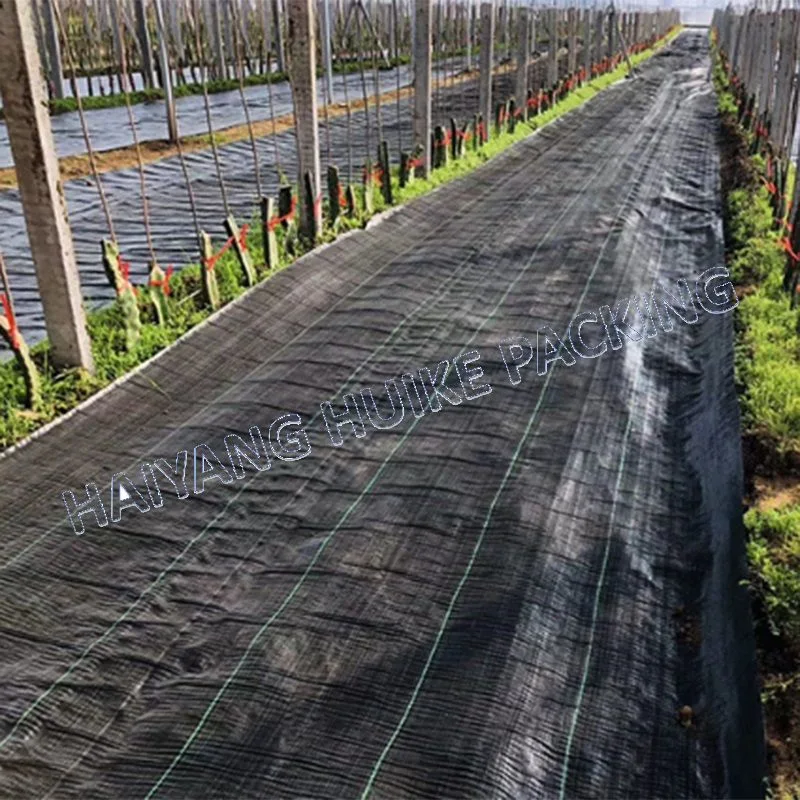 Alfombra de hierba de jardinería de plástico negro cubierta de tierra agrícola PP o PE