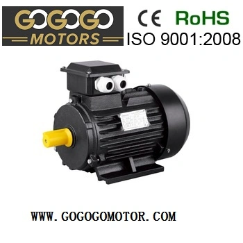 Marcação 50Hz 60Hz Ie2 IE3 Y2 Y YB2 Yd Yej Y Yct Ms indução de Alta Potência do Motor eléctrico IP55 para velocidades de comando da bomba do compressor do ventilador (0,06KW-315KW)