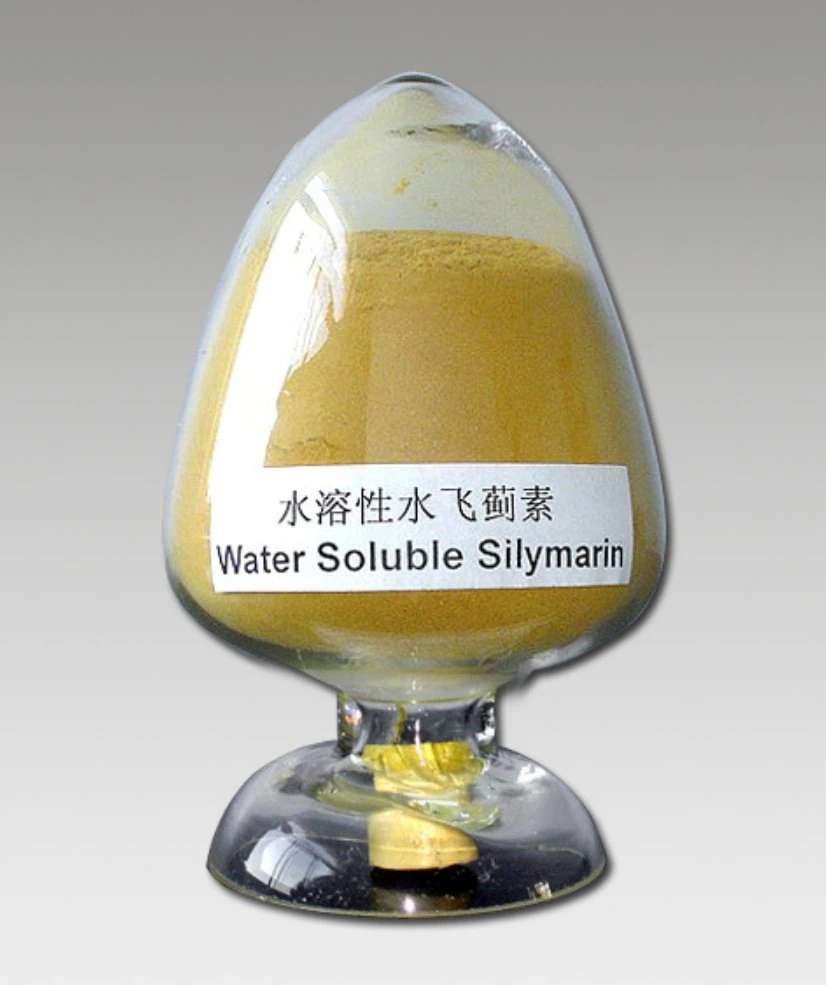 Factory Supply Water Soluble Silymarin Silybum Marianum Milk Thistle Silymarin