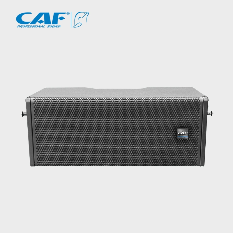 Zwei passive Line-Array-Sound-System-Lautsprecher mit 8inch Bässen