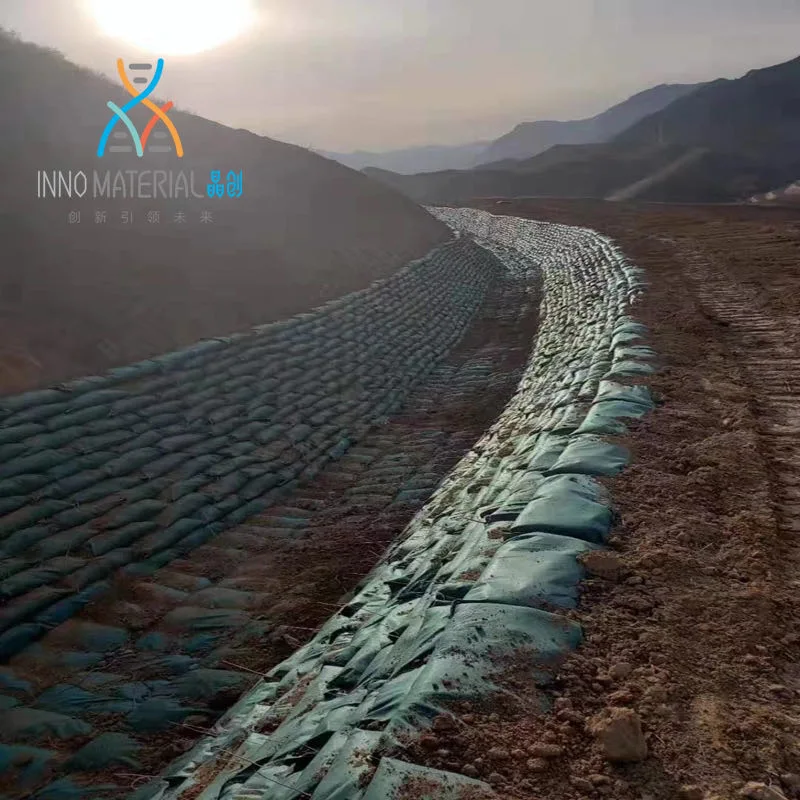 Capacité de roulement de hauteur Construction routière Geogrid en plastique extensible bilatéral