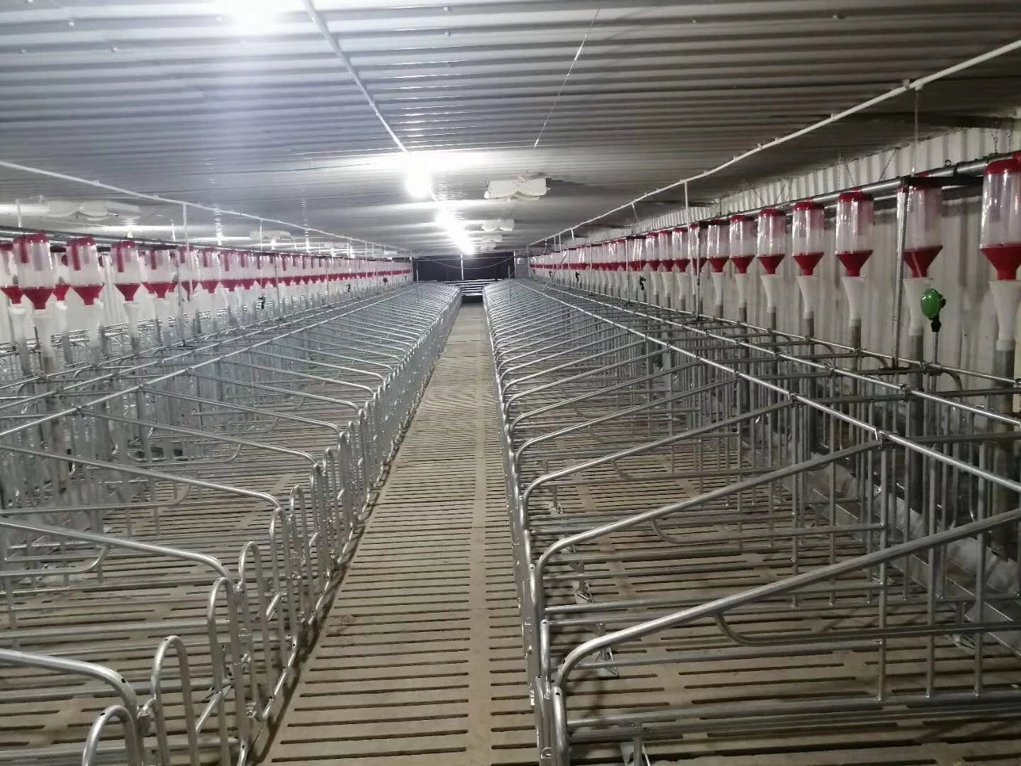 Hot DIP Galvanized Gestation Stall Pig Cage