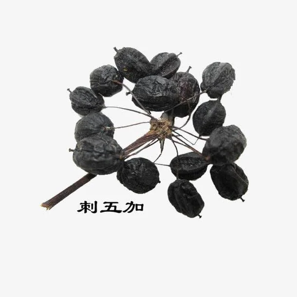 Eleutheroside B+E 1.0% Eleuthero Extract Siberian Ginseng Powder Extract