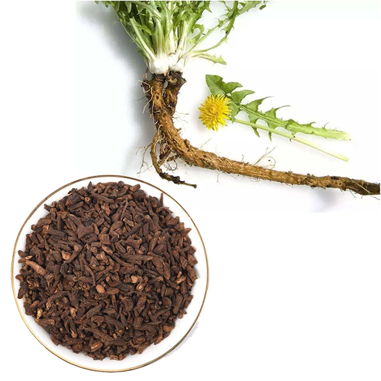 Dandelion Root Teabag Tbc, Dandelion Root for Health Tea