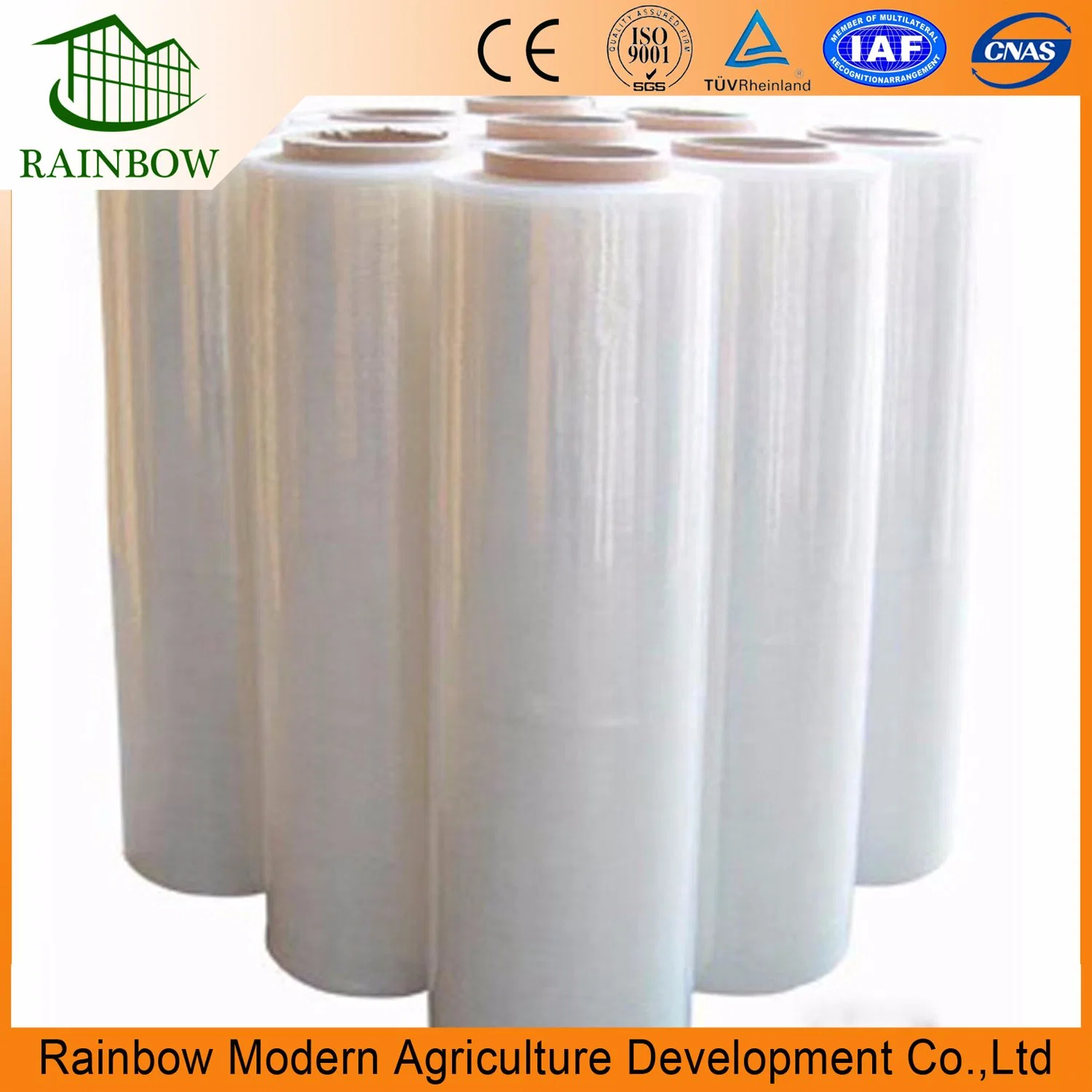 Single-Span Arch Type Plastic Po Film Greenhouse with Good Quality and Low Price for Agricultural