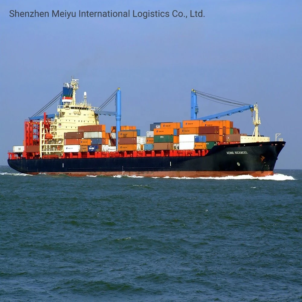 China to Philippines Manila Door to Door DDP Shipping Fast Delivery Sea Shipping Services