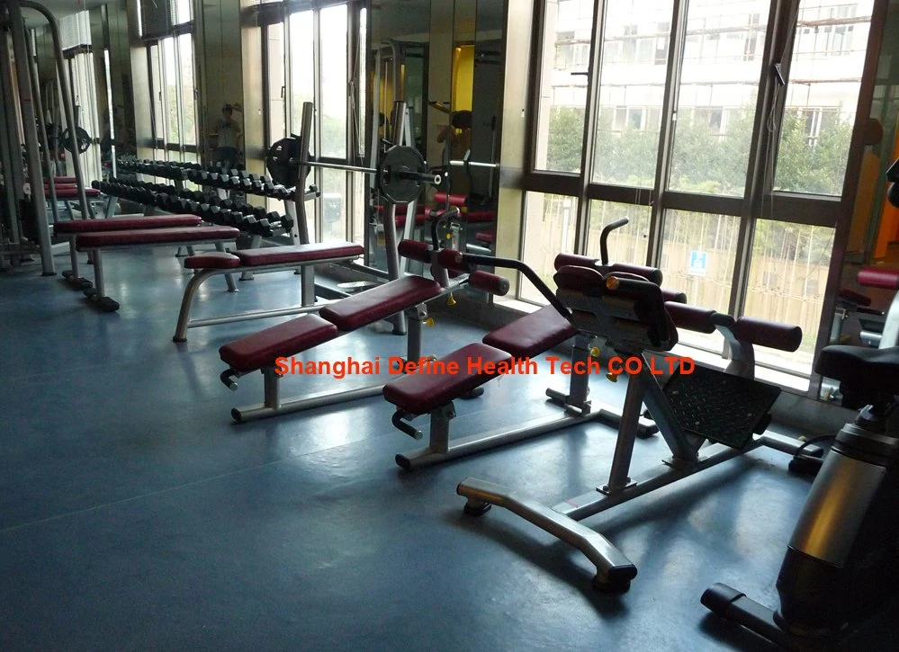 Define Strength machine and gym equipment,fitness equipment and strength machine,China fitness machine and gym machine,New Body Building Rotary Torso (HK-1028)