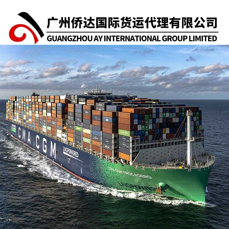 Shenzhen Shipping Service Provide FCL LCL Sea Freight From China to Namibia (Walvis Bay)