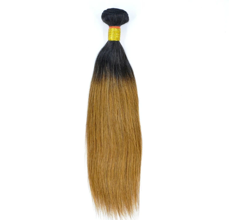 Brazilian Ombre Remy Human Hair Weft at Wholesale/Supplier Price with SGS Approved (Straight #T1b/30)