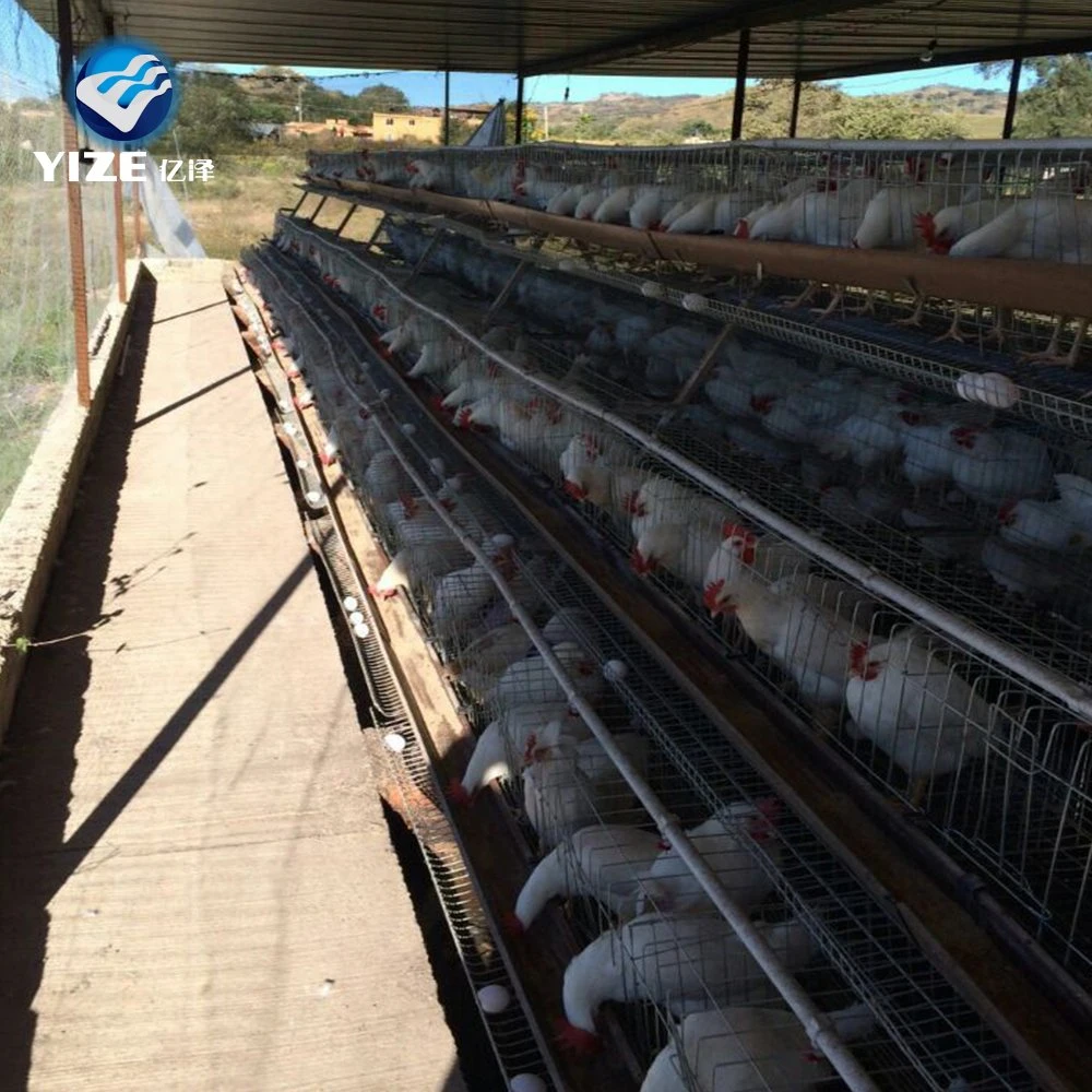 Hot Sale 96 / 160 oiseaux 3 / 4 couches de la volaille des cages d'alimentation du système de poulet