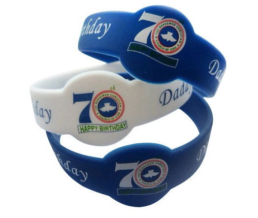 Custom Printed Logo USB etc Various Occasions Silicone Wristband (YB-WR-02)