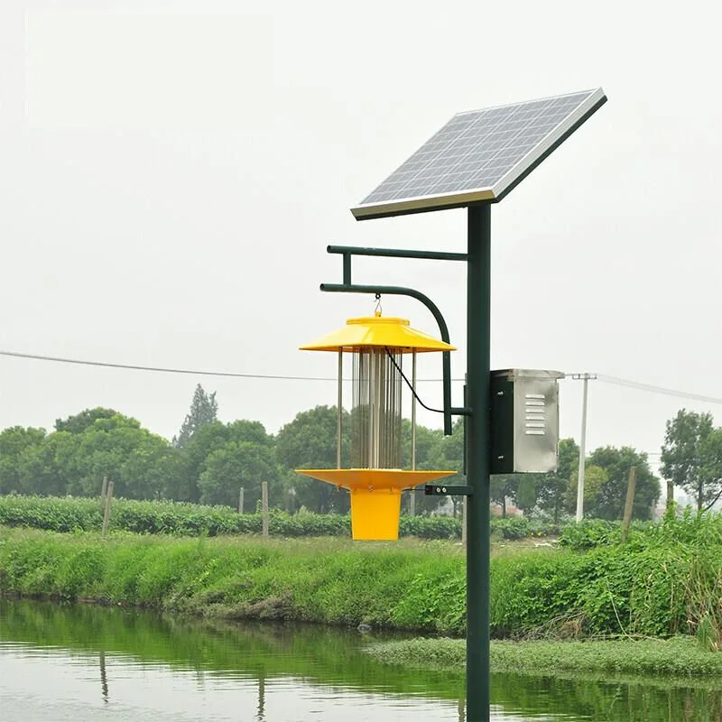 Insetos Solares Zapper insetos Solares Zapper mosquitos assassino de insetos químico Luz