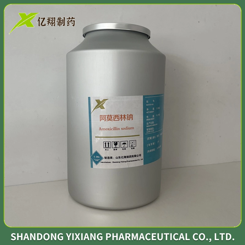 Amoxicillin Sodium and Clavulanate Potassium Antibiotic Amoxicillin Sodium Veterinary Medicine for Injection 1.2g 0.6g