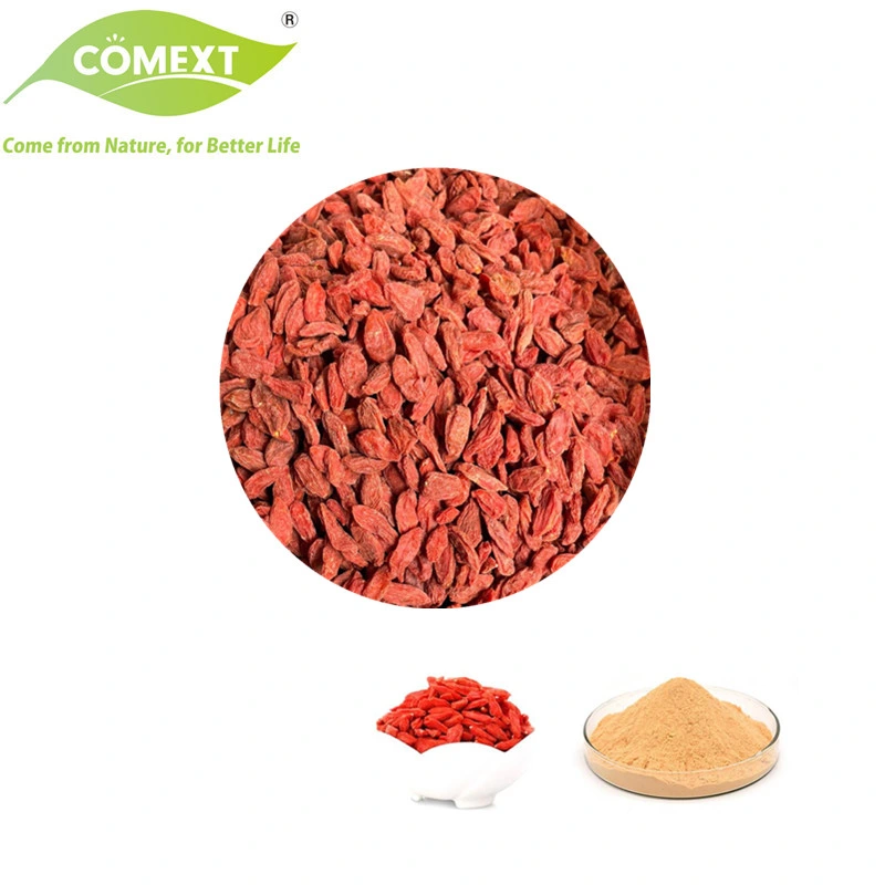 Comext Bulk Improve Immunity Reduce Blood Sugar Wolfberry Fruit Natural Freeze Dried Lycium Goji Berry Extract