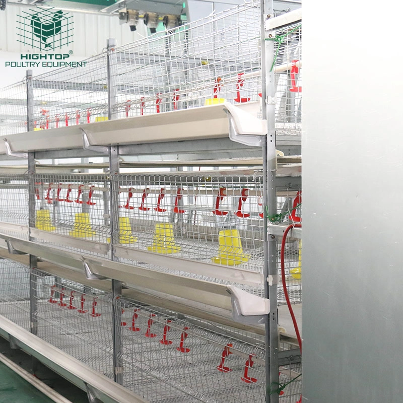 Batería de acero galvanizado en caliente el pollo broiler jaula automático para la granja avícola