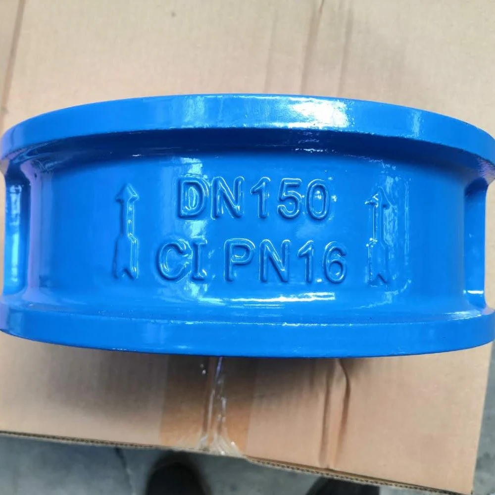 OEM DN40-DN800 Ci Cast Iron Double Disc Wafer Dual Plate Butterfly Check Valve