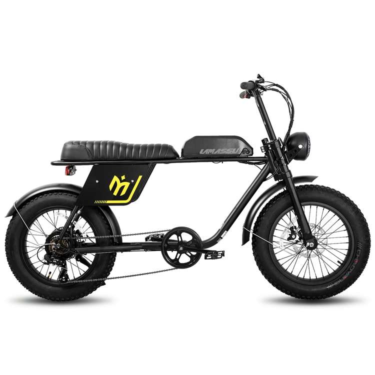 Новая мощная Joykie 2 мест в стиле ретро 20-дюймовый 750W 48V жир шины велосипеда с электроприводом